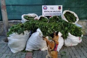 Antalya'da 212 kilo esrar ele ge&ccedil;irildi