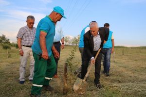 Bursa'da fidanlar geleceğe umut olsun diye dikildi