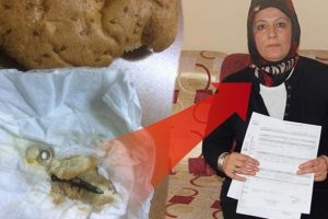 Ankara'da şok! Pideden &ccedil;ivi &ccedil;ıktı