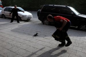 İnat&ccedil;ı kedi itfaiye ve mahalleliyi seferber etti