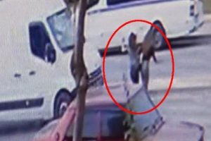 Suriyeli s&uuml;r&uuml;c&uuml; 2 gen&ccedil; kıza &ccedil;arptı! 50 metre savruldular