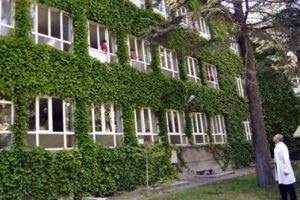 42 yıl &ouml;nce k&ouml;k asmaydı, şimdi bu hale geldi