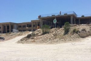 Mersin &Uuml;niversitesi'nde orman kıyımı iddiası