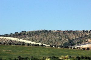 Rus bayrağı &ccedil;eken YPG'liler n&ouml;bet tutmayı bıraktı
