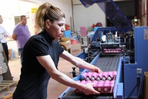 Bu il&ccedil;ede saniyede 29 yumurta &uuml;retiliyor