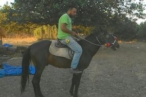 Bah&ccedil;eye giren atı vurdu, 'beni &ouml;ld&uuml;recekti' dedi, beraat etti