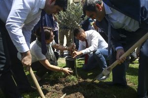 CHP'liler Meclis bah&ccedil;esine zeytin fidanı dikti
