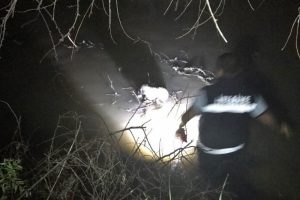 &Ccedil;aya d&uuml;şen yavru k&ouml;peği itfaiye kurtardı
