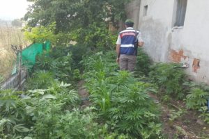 İzmir'de uyuşturucu operasyonu: 5 g&ouml;zaltı