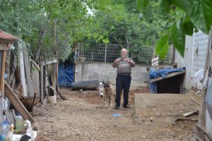 Bursa'da k&ouml;pek yaşlı kadını kafasından ısırdı