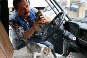Otomobilini kediler i&ccedil;in yuvaya d&ouml;n&uuml;şt&uuml;rd&uuml;