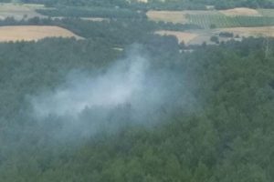 &Ccedil;anakkale'de ormanlık alanda korkutan yangın
