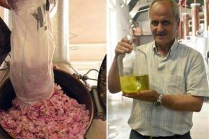 Kilosunu yaklaşık 50 bin liradan satıyor: 1 kilo i&ccedil;in...