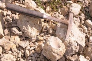 Ilgaz Dağı'nda 60 milyon yıllık deniz fosili bulundu