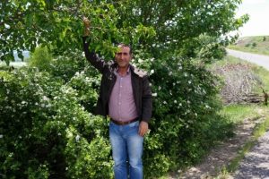 &Uuml;reticiyi ceviz &uuml;zd&uuml;, dut g&uuml;ld&uuml;recek