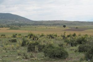 Tokat'a m&uuml;himmat fabrikası kurulacak