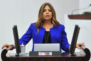 CHP İzmir Milletvekili Altıok: Eğer meralar ranta a&ccedil;ılırsa...