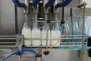 Toplanan inek s&uuml;t&uuml; miktarı nisanda azaldı