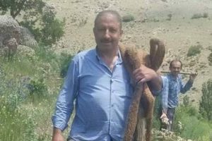 İ&ccedil;me suyu borusunun i&ccedil;inden 13 metre s&ouml;ğ&uuml;t ağacı k&ouml;k&uuml; &ccedil;ıktı