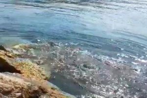 Deprem sonrası denizde bu g&ouml;r&uuml;nt&uuml; oluşmuş!