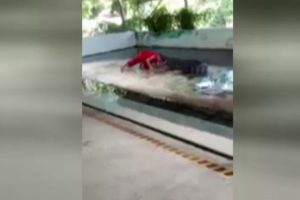 Timsahla g&ouml;steri canından ediyordu
