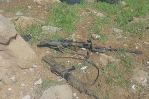 Hakkari'de keskin nişancı t&uuml;feği ele ge&ccedil;irildi