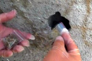 Duvar deliklerinden ve taşların altından uyuşturucu &ccedil;ıktı