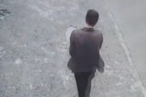 İstanbul'da k&ouml;pek hırsızları kamerada