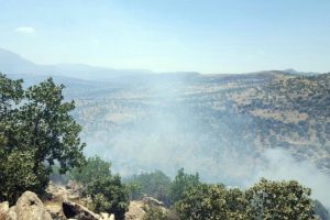 Hakkari'de 11 ter&ouml;rist daha etkisiz hale getirildi