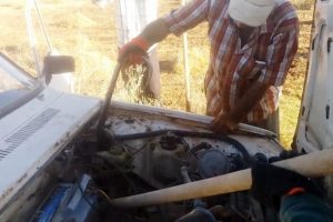Otomobilden 2 metrelik yılan &ccedil;ıktı