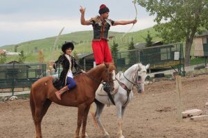 Ankara'da hasta hayvanlardan oluşan farklı bir &ccedil;iftlik