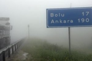 Bolu dağında g&ouml;z g&ouml;z&uuml; g&ouml;rm&uuml;yor!