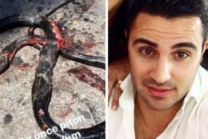 Sosyal medya paylaştığı yılan fotoğrafı başını yaktı