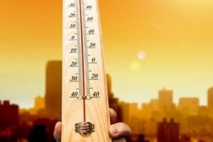 D&uuml;nya Meteoroloji &Ouml;rg&uuml;t&uuml;'nden 'hava sıcaklığı' uyarısı!