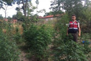 &Ccedil;anakkale'de uyuşturucu operasyonu