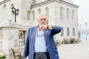 Ortaylı: Kazık &ccedil;akılacaksa Mimar Sinan &ccedil;akardı