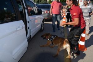 İDO iskelesinde k&ouml;pekli arama!