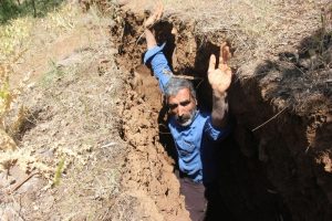 İnsan boyunda esrarengiz yarıklar korkutuyor