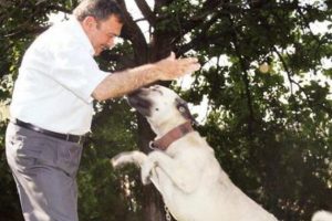 Hayvana işkence edene hapis!