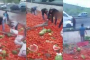 Kaza yapan hal kamyonunu yağmaladılar