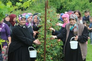 Ahududu dalında kaldı, Bursa'da k&ouml;yl&uuml; kadınlar isyan etti