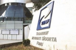 TMSF basın yayın kuruluşlarının varlıklarını satışa &ccedil;ıkardı