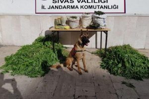 Sivas'ta uyuşturucu operasyonu