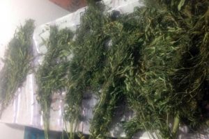 Marmaris'te uyuşturucu operasyonu