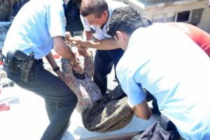 Polisin Zekiye Nine ile imtihanı: Dama &ccedil;ıktı, taş attı