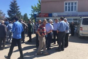Ankara'da arı sokan bir kişi hayatını kaybetti