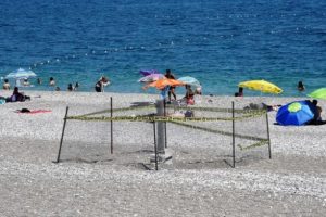 Antalya'da polis, caretta caretta yumurtaları i&ccedil;in seferber oldu