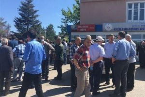 2 farklı şehirde 2 kişi arı sokması sonucu hayatını kaybetti