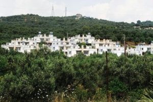 Zeytinliklerde katliam var! Yazlık&ccedil;ılar işgal ediyor