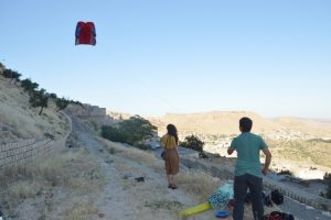 Mardin'de u&ccedil;urtmadan şeker yağdı